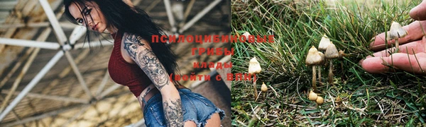 MDMA Premium VHQ Беломорск