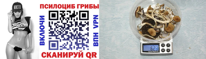 блэк спрут онион  Новое Девяткино  Галлюциногенные грибы ЛСД 